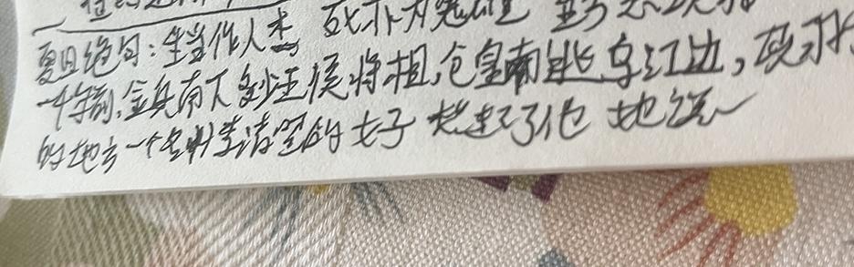 今日读了《夏日绝句》李清照
1千年前，金兵南下，多少王候将相仓皇南逃，乌江边、项