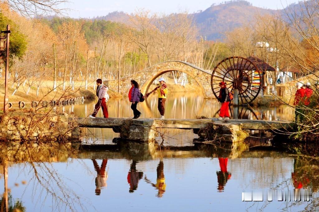 冬天的太阳都是大家喜欢的，时光，浓淡相宜；人心，远近相安。不为难自己，不辜负岁月