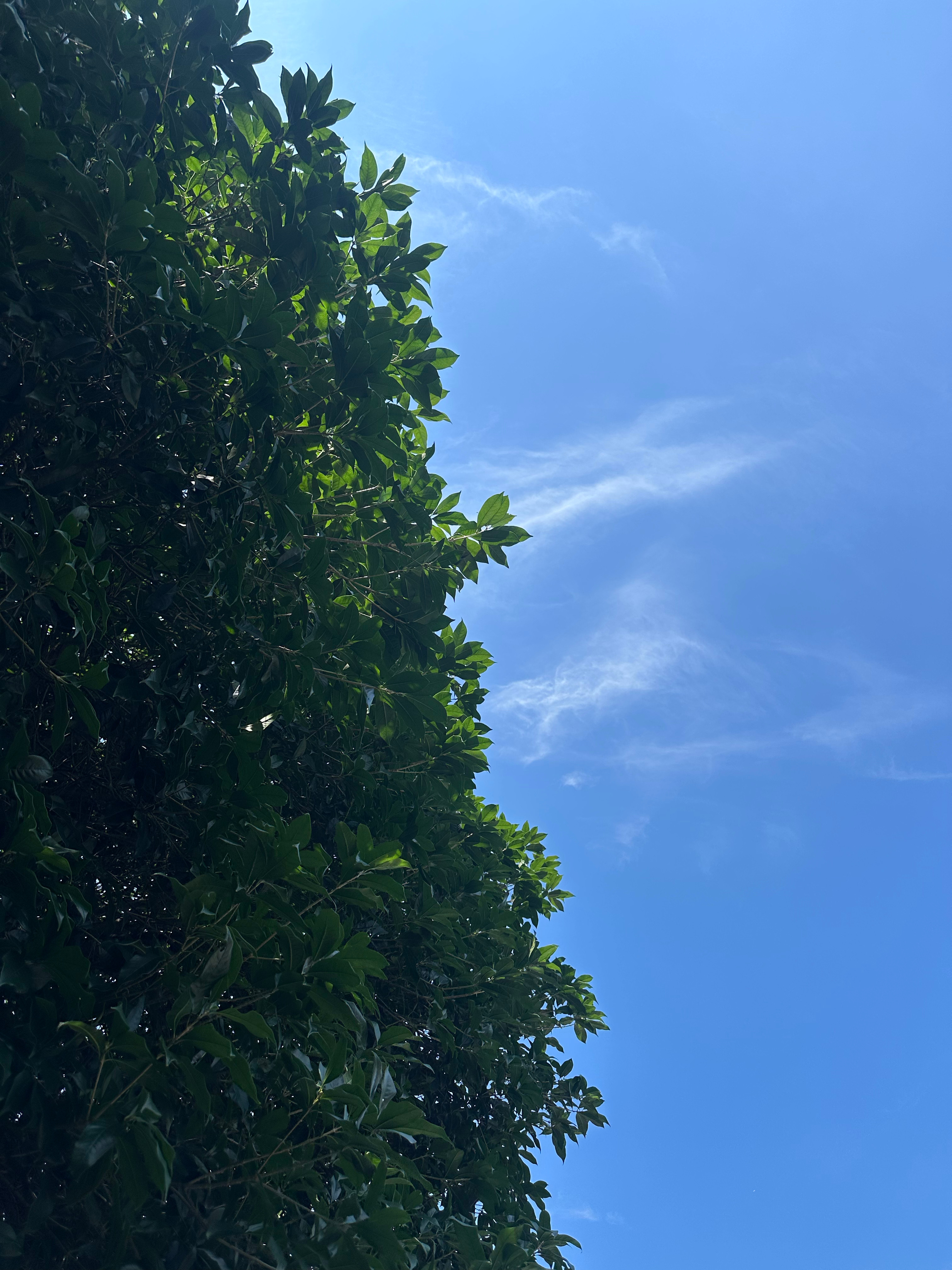 从来不是因为夏天才燥热冲动。 桂林