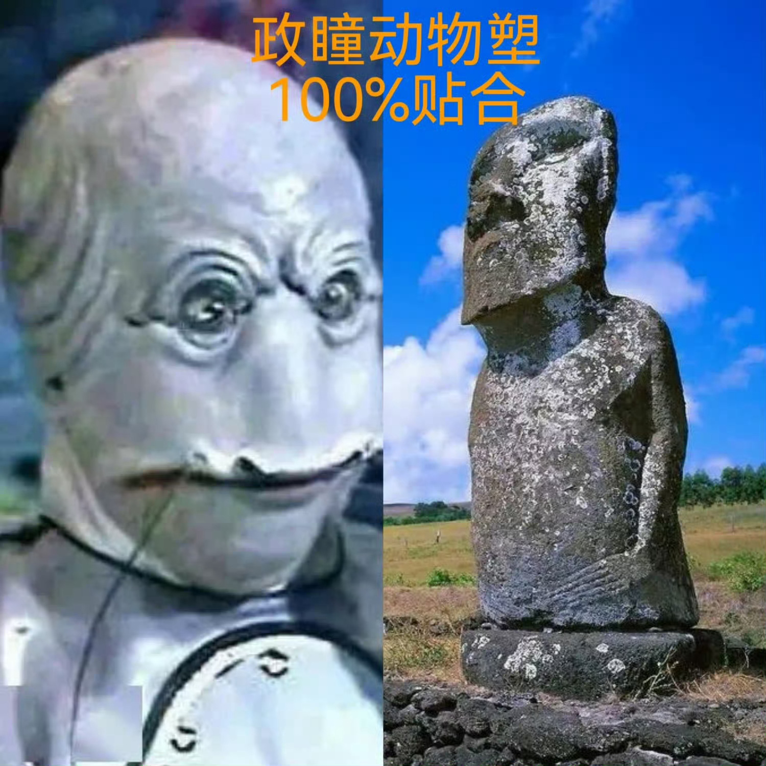 芝士分享 