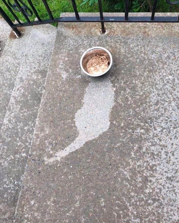 咪留下的痕迹 🐈 