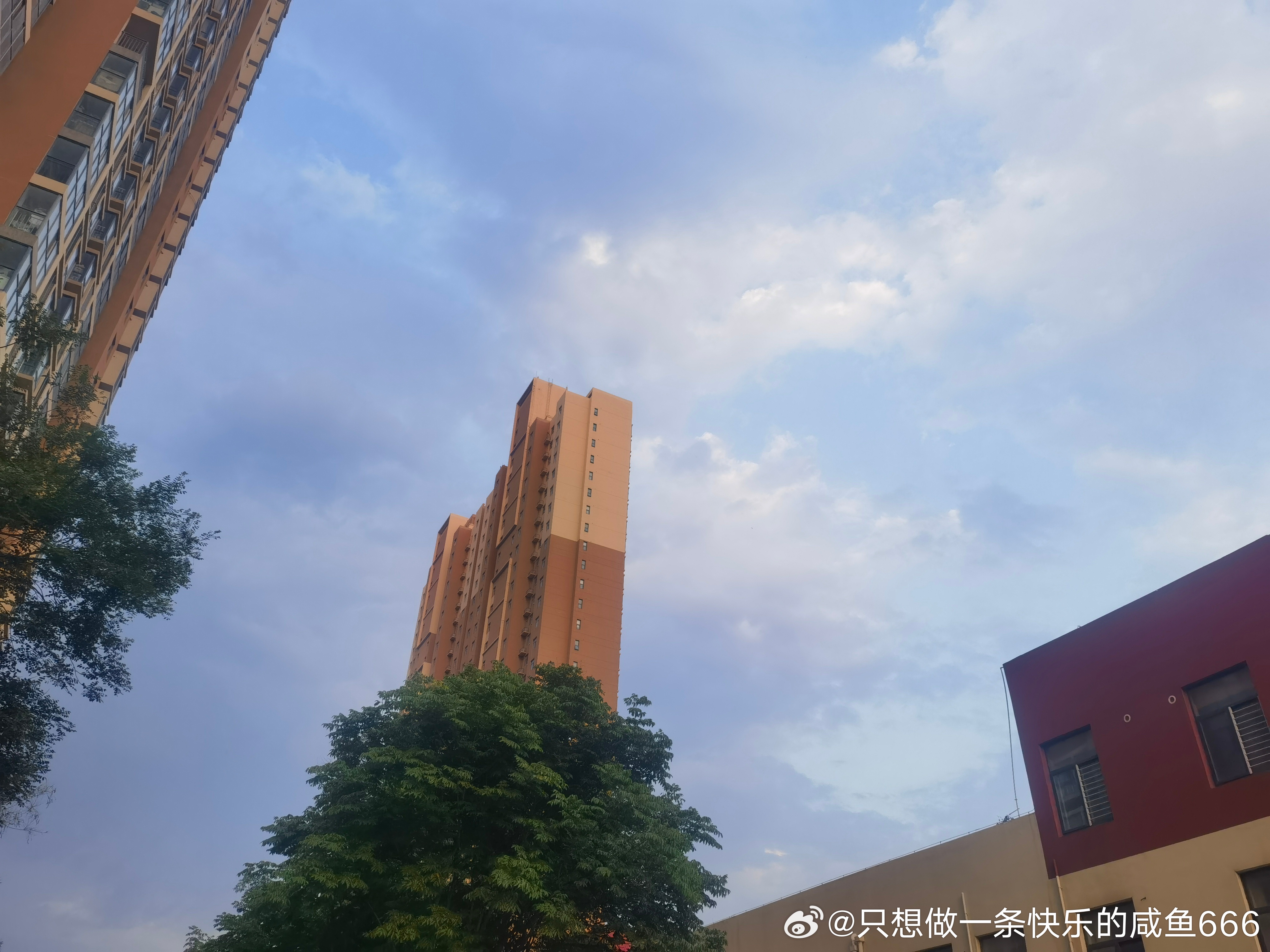最近几天很忙。累瘫了。 