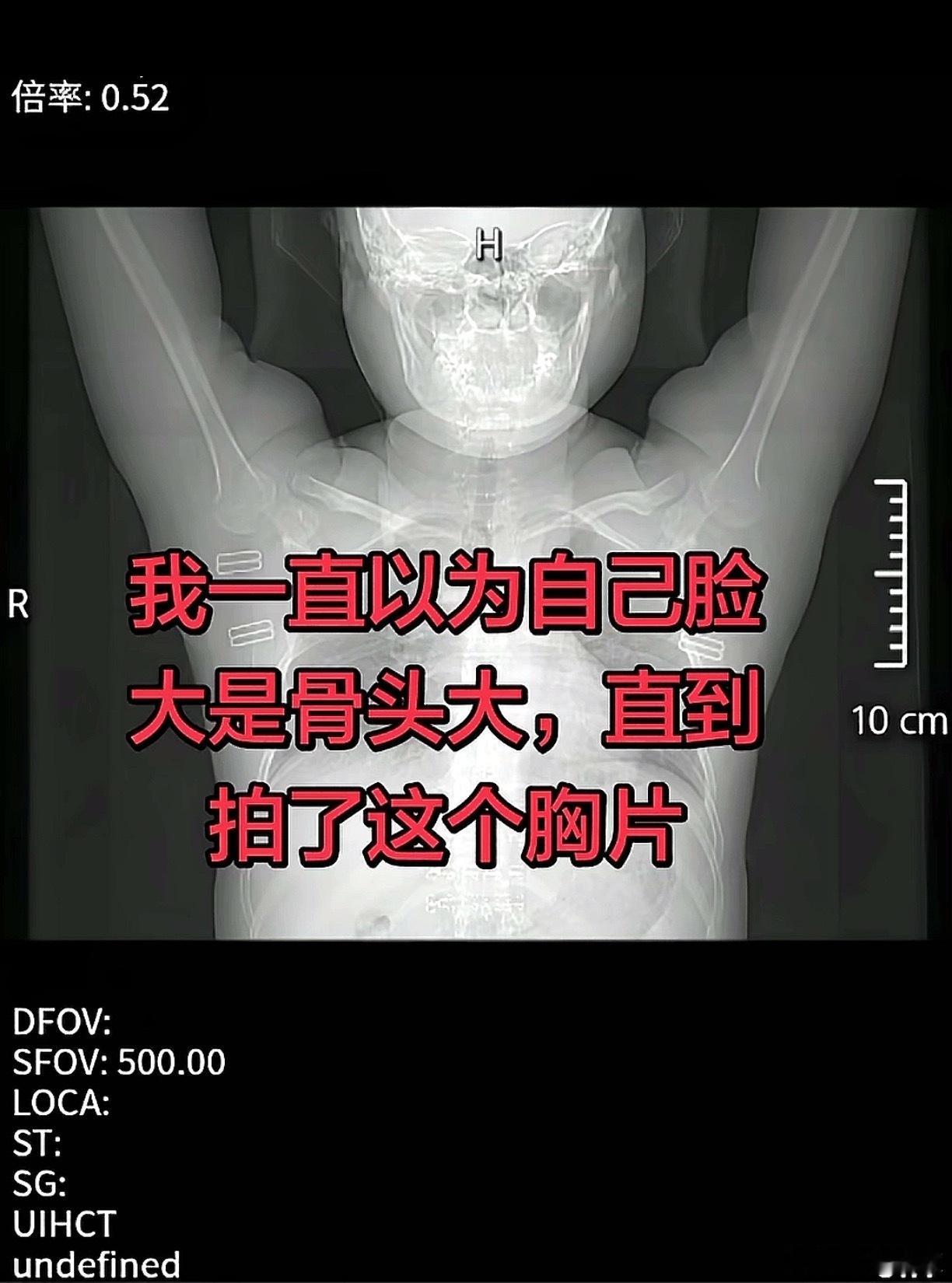 唯一一个可以宽慰自己的理由也没了