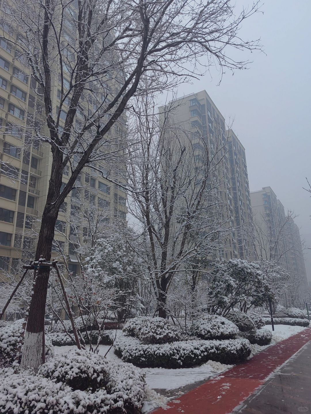 济南楼市，东风吹过！雪融？