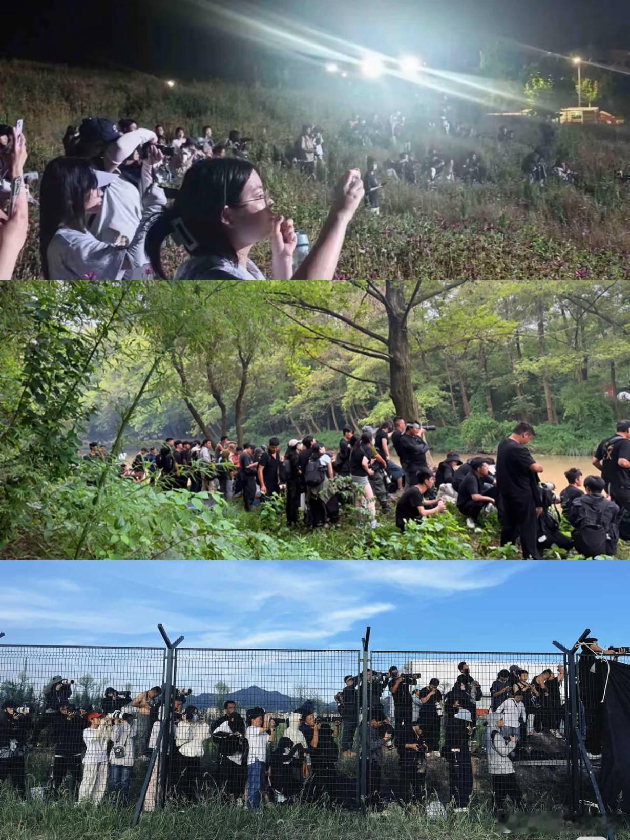 一直以为明星剧透照片，
都是粉丝发点为爱痴狂原来代拍是种职业呀，
而且一张照片甚