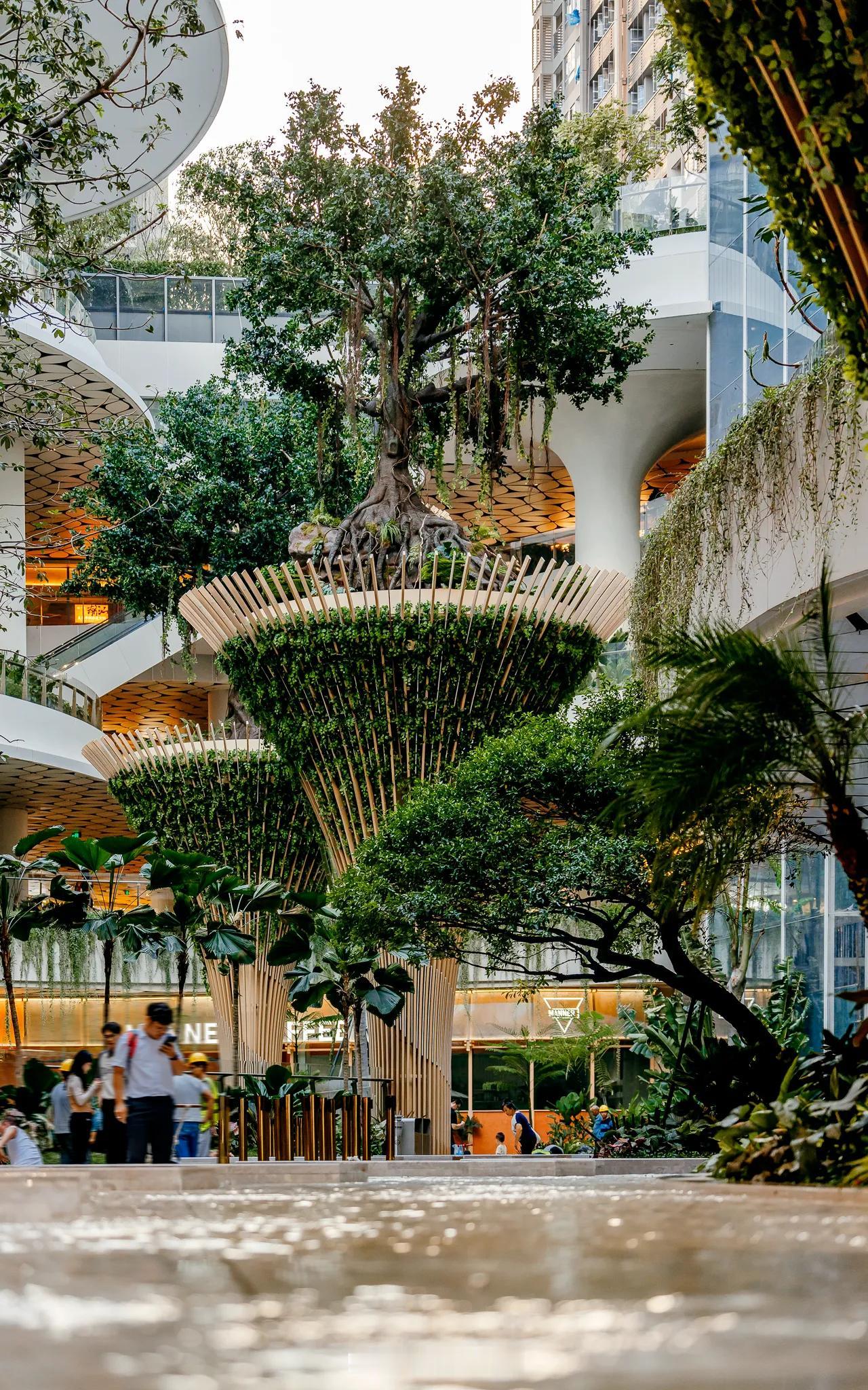 想知道上面的树和植物是真的吗？深圳人造了一座现象级“都市绿洲”，把森林搬进了商场