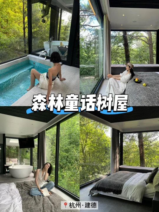 杭州2h森林树屋🌲住得很好还会再来 live图