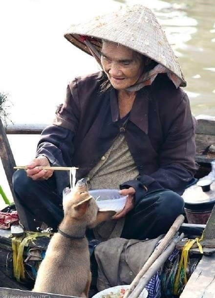 再丑莫弃结发妻，再穷不卖看家汪。 