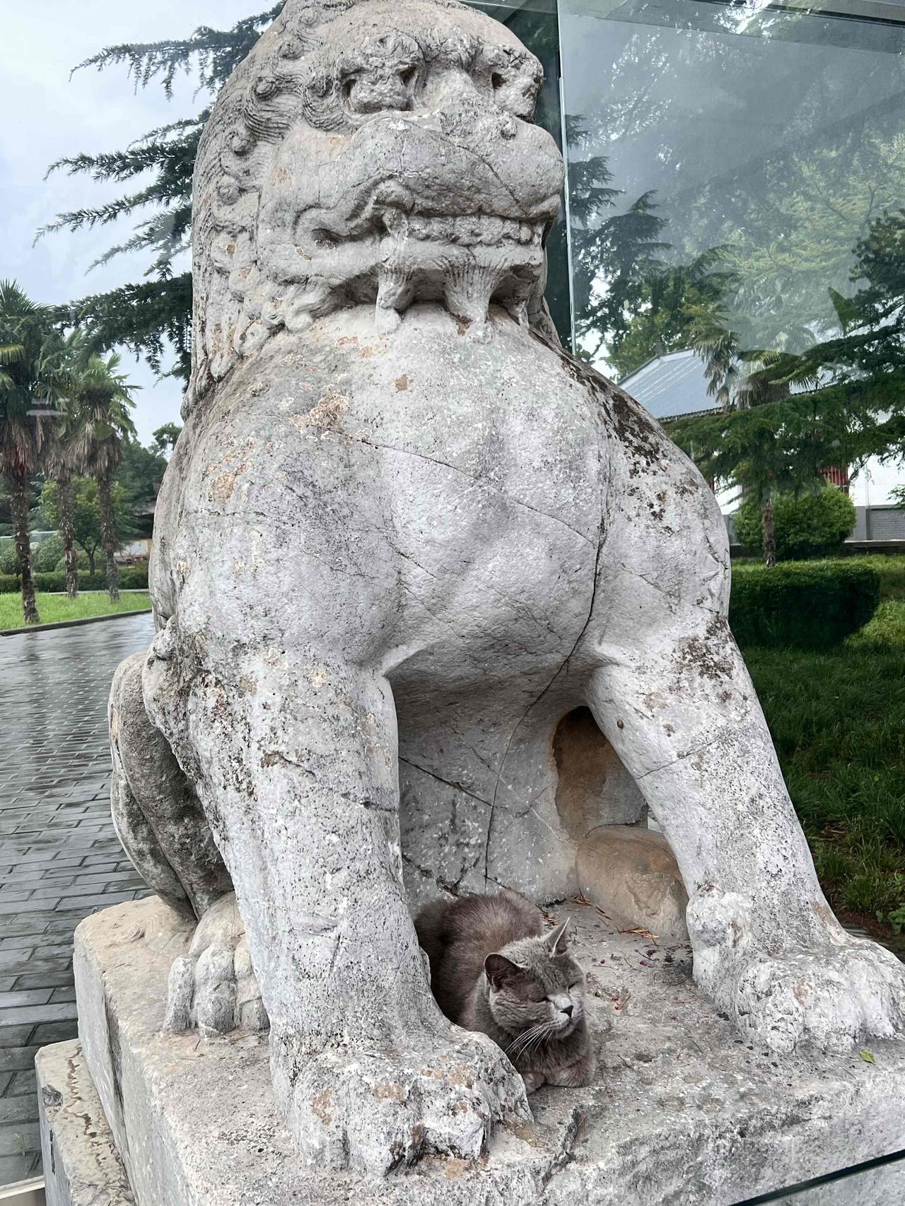 80后往上几乎没有不结婚不生娃的，单身的更没听说过，到了80后好像也是这，但就是