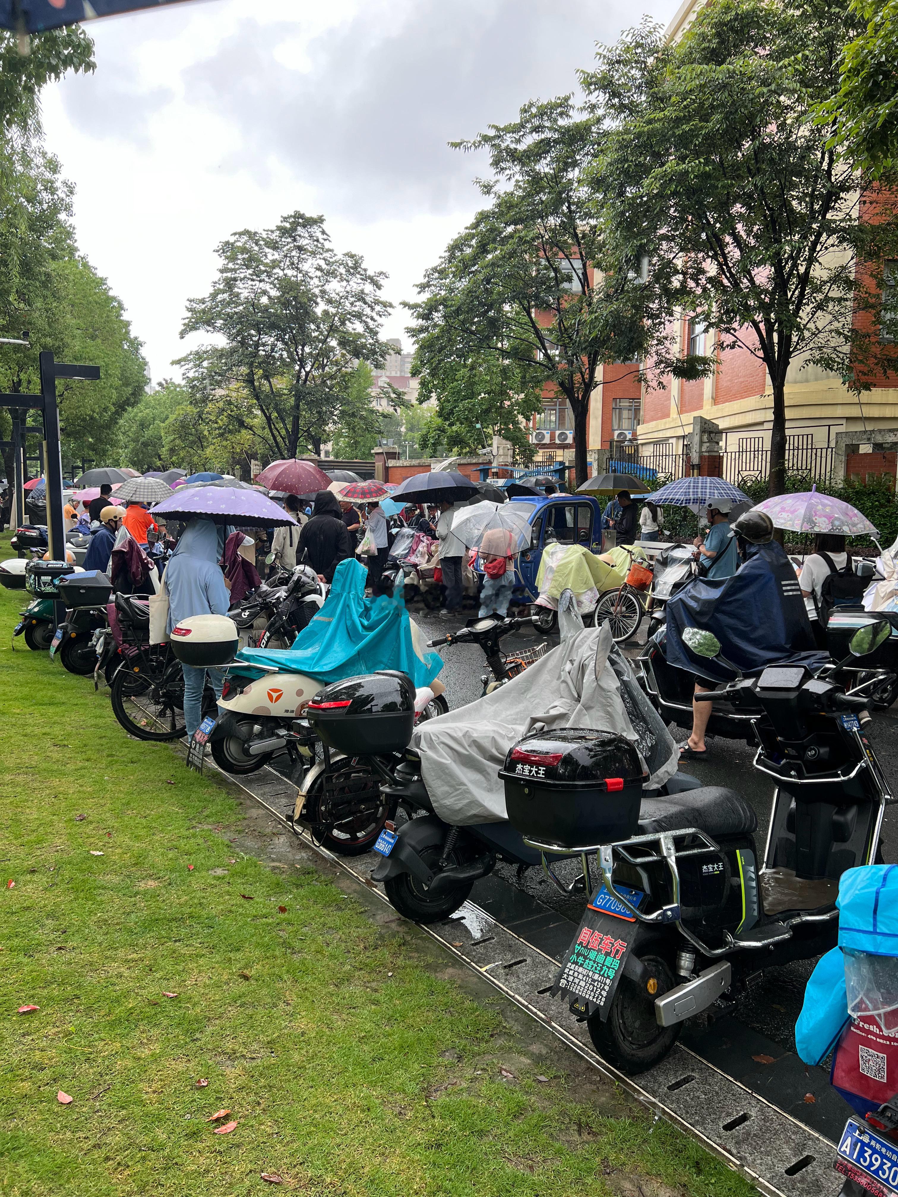 周四到周日上海雨水暂时休整考完试了，雨停了这天天出门接送都是大雨每次在门口接孩子