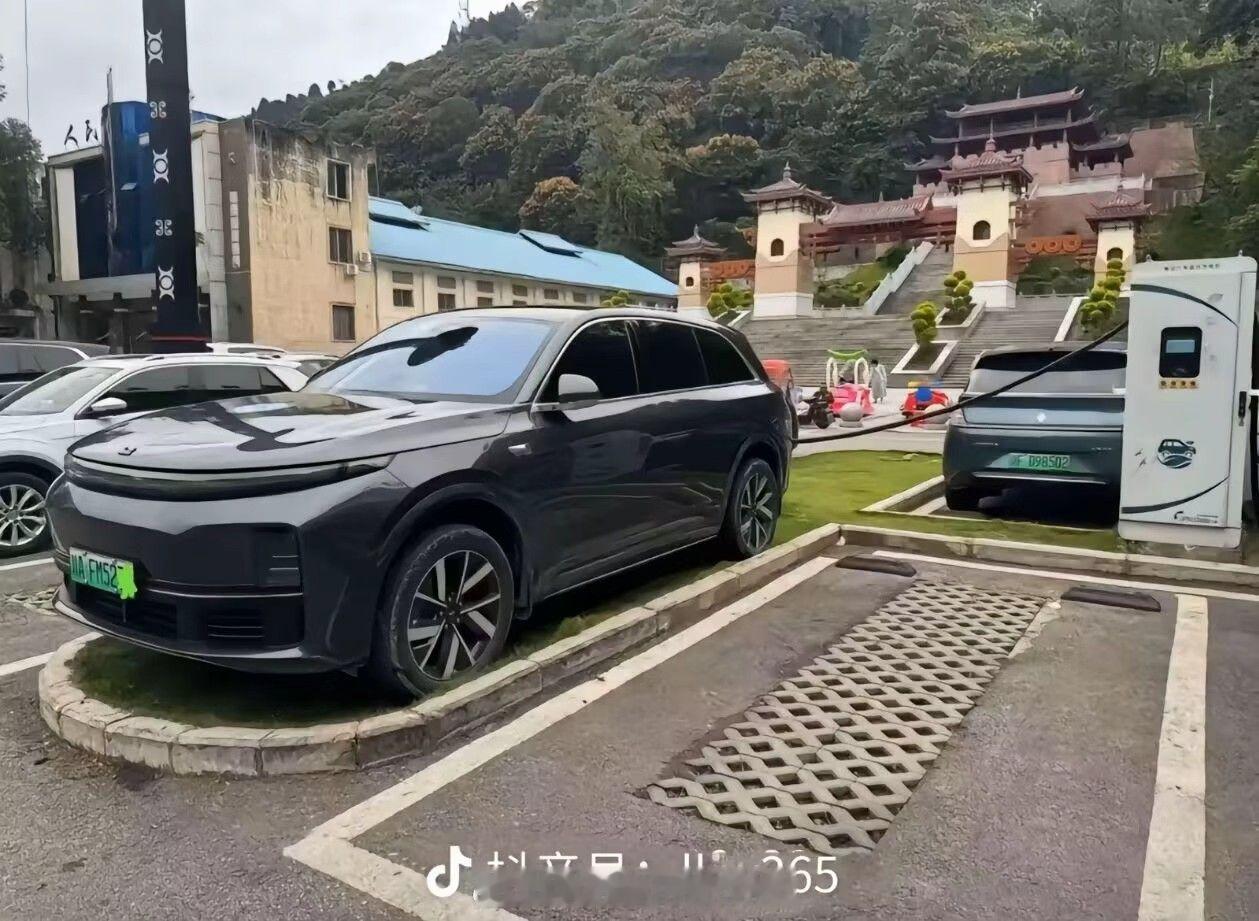 这个绝对是摆拍的，乱停车的人是懒，是随便，停成这样会很麻烦。 