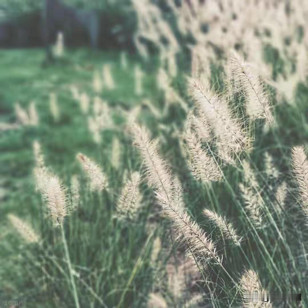 当你自我感觉不错的那一刻，一定是身体最美的状态

人一定要懂得爱自己的身体，你最