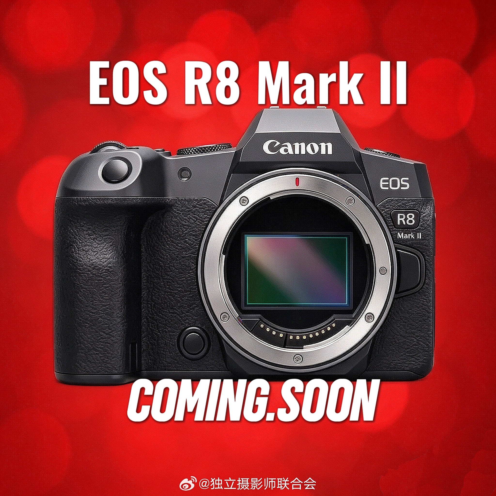 佳能新品EOS R8二代将于将于9月15日发布，这次仅发布R8二代相机标准版，不