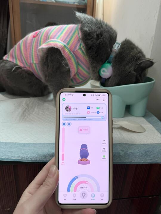 比铲屎官更懂主子的黑科技项圈！真实测评来啦~ 主子最近戴上了这个会