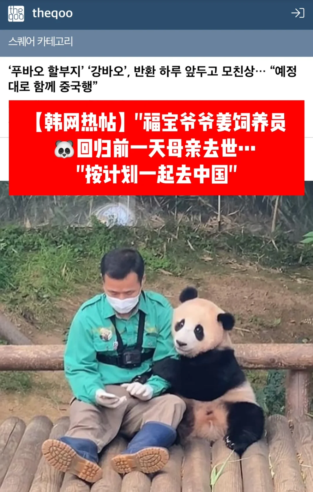 🔥热帖｜母亲昨天去世…姜爷爷今天送福宝回国