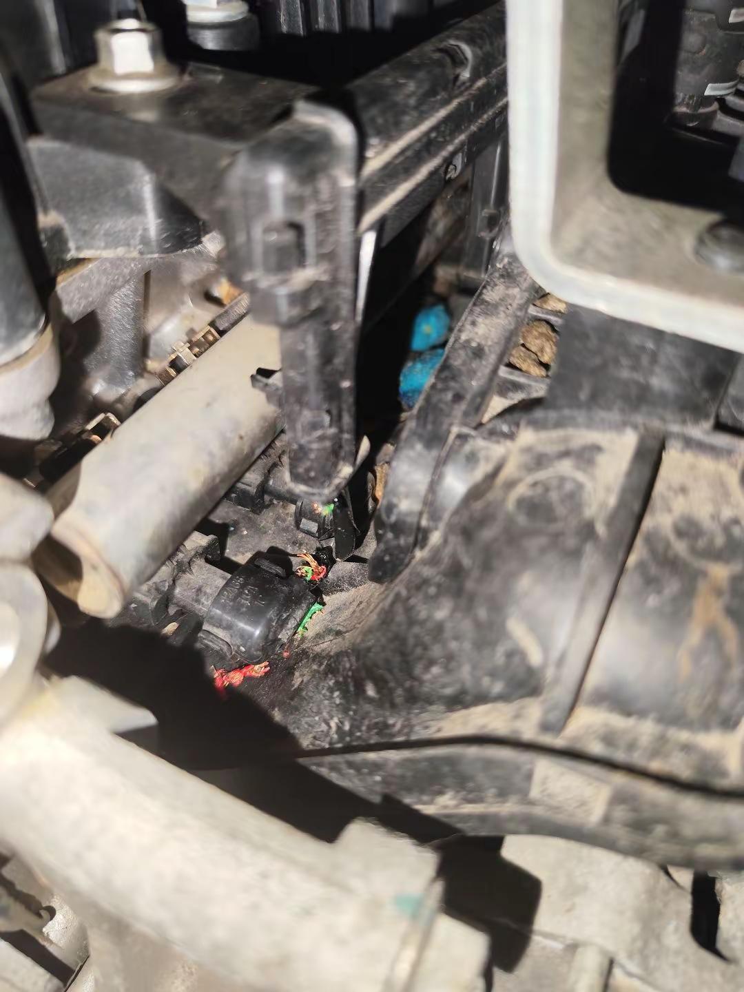 耗子🐀让我捉到你煲汤了🤬