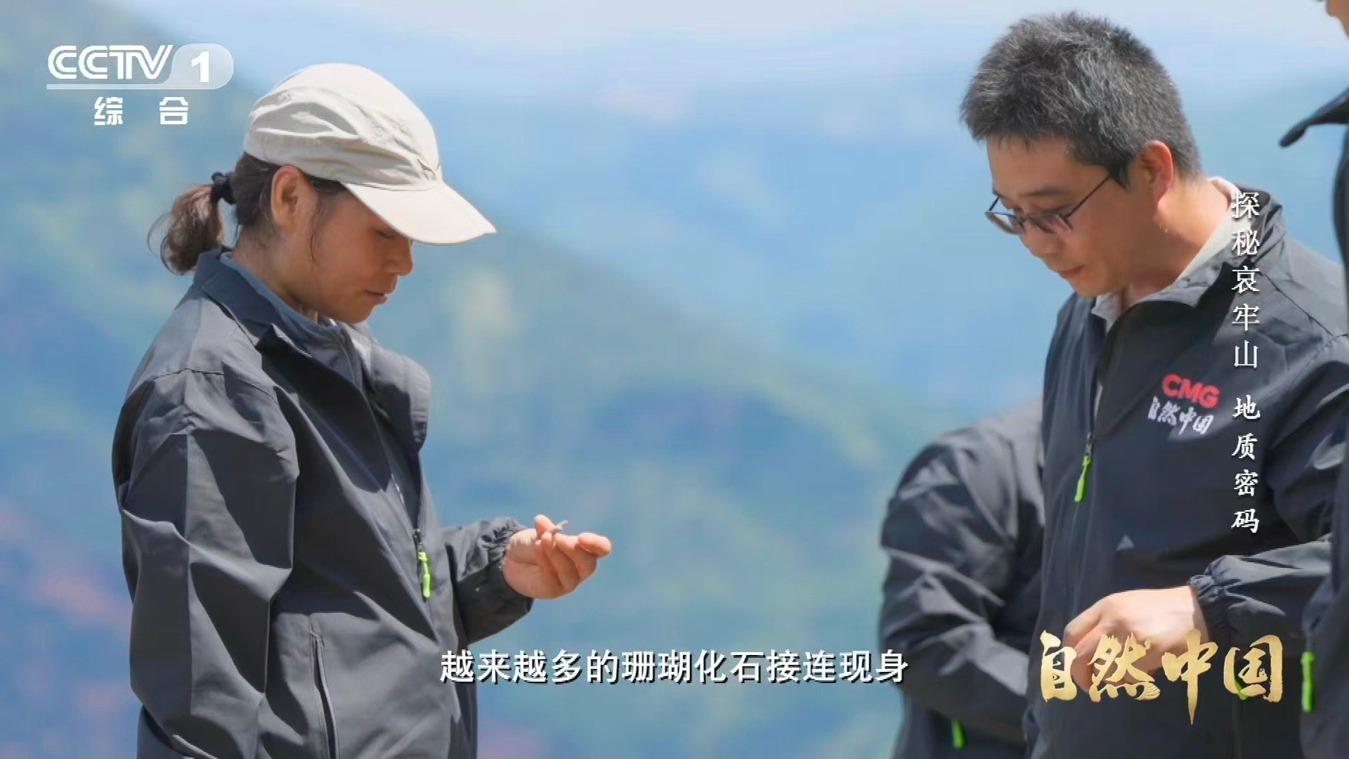 哀牢山顶惊现海底世界哀牢山顶竟藏3.75亿年前珊瑚化石 当科考锤敲开哀牢山的岩层