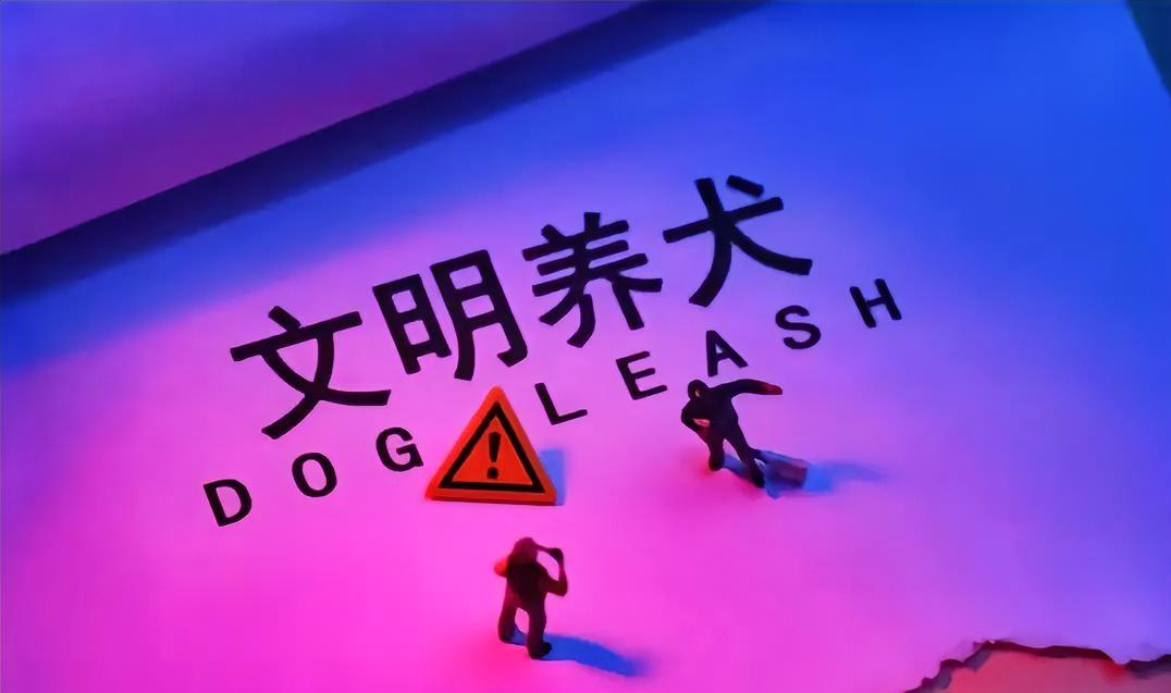 外围高开跳水全线普跌我倒不感兴趣，最让我悲哀又气愤的，是量化的所作所为！本来昨天