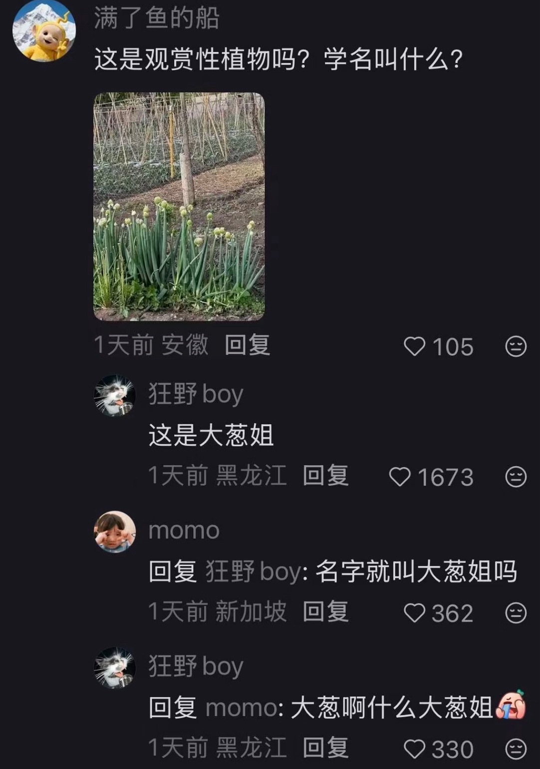 韦一敏 这盛世如你所愿 