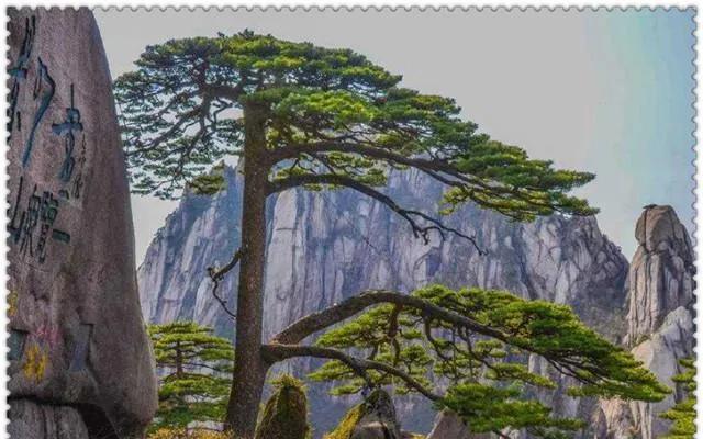 对联拾趣:
 
挚友可曾游历黄山？山间迎客苍松，曲干躬身，舒枝展臂，凝露含烟，温