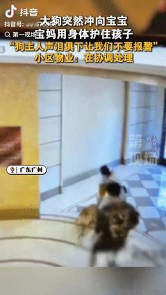 “严惩到底！”广东广州，一女子带着1岁多的宝宝大厅玩耍时，突然有只大狗冲向宝宝，