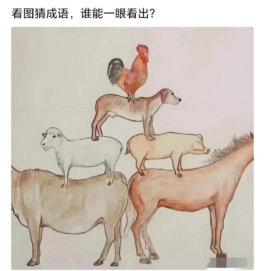 猜猜看，这是什么成语，我敢打赌！能一眼猜出来的，绝对是个高手。