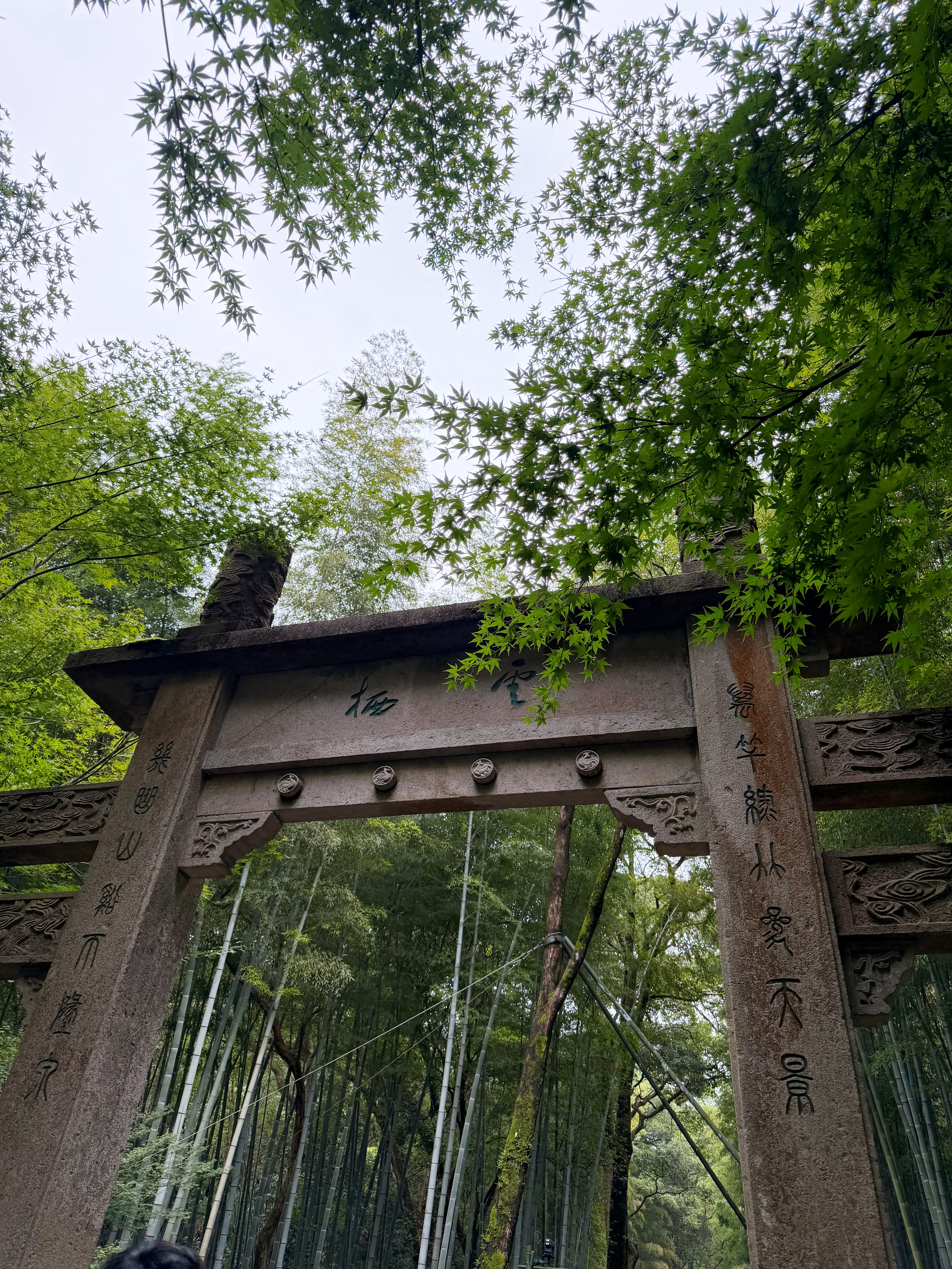 云栖竹径🍃 ​​​