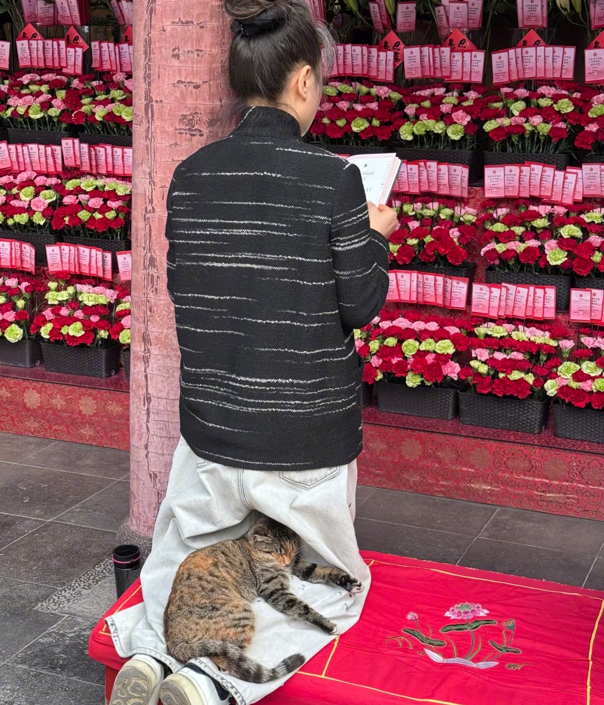 因为小猫读书时长整整翻了一倍小猫是懂找地方睡觉的有些人看似情绪稳定，实则根本不敢