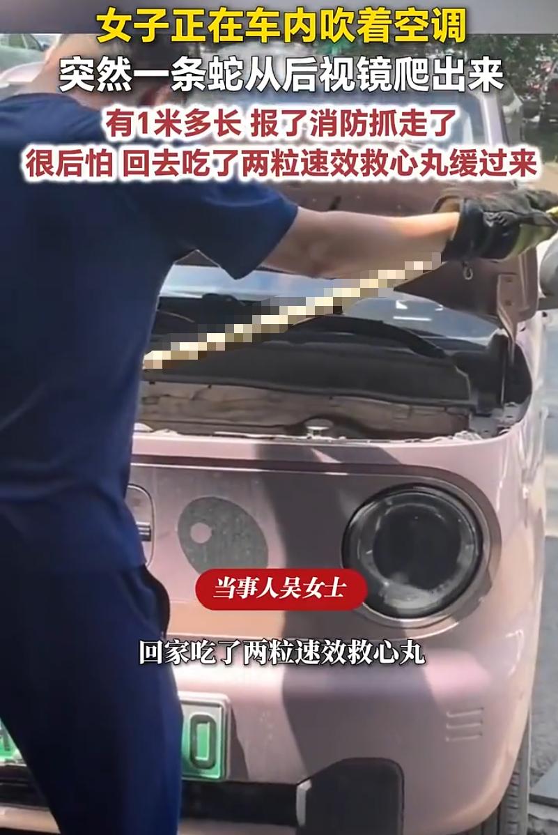 吓坏了！辽宁本溪，一女子嫌天气太热，就坐在车里吹空调，期间突然用余光发现后视镜好