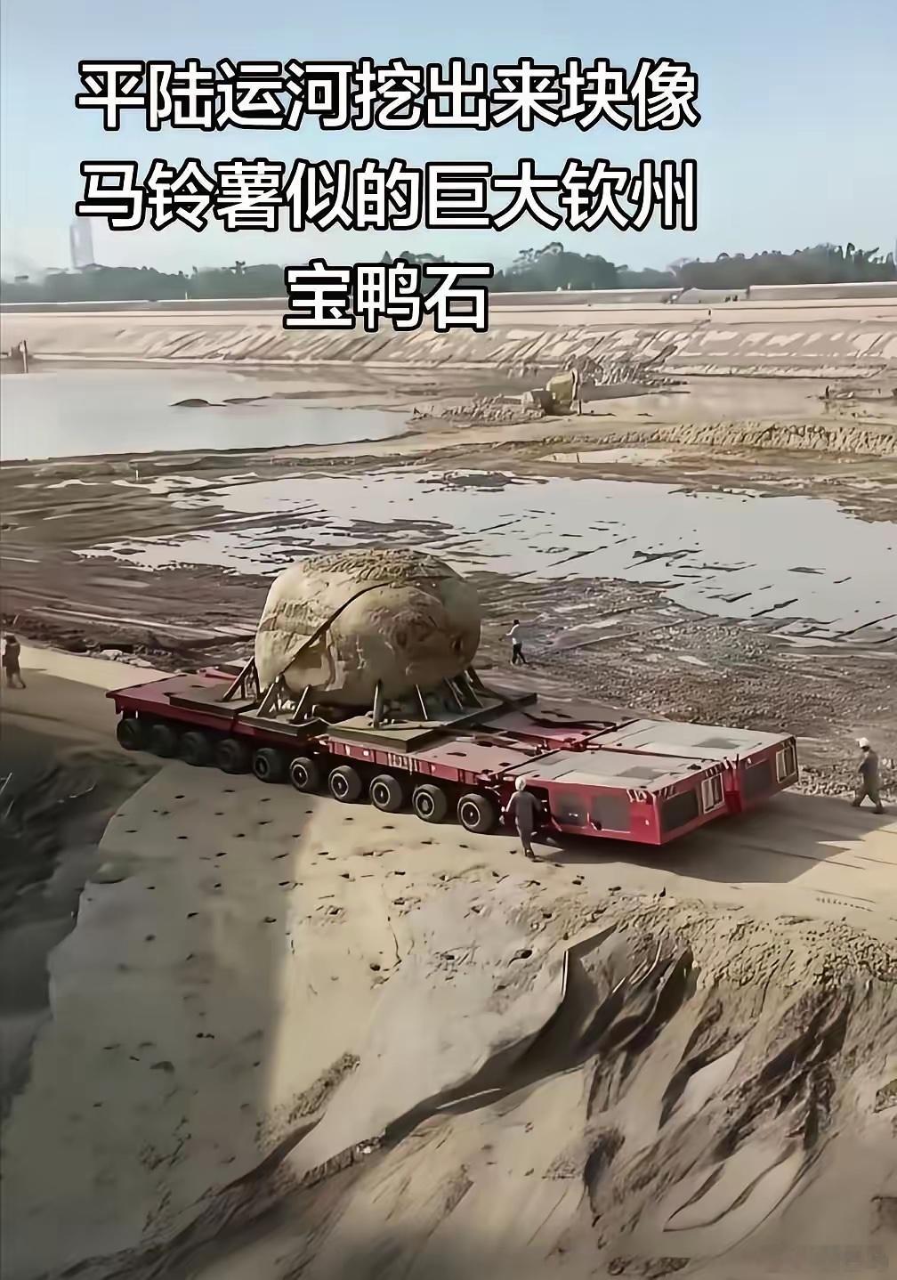平陆运河挖到巨大钦州宝鸭石。挖到的是钦州宝鸭石哦，是有千百年历史的天然景观石，属