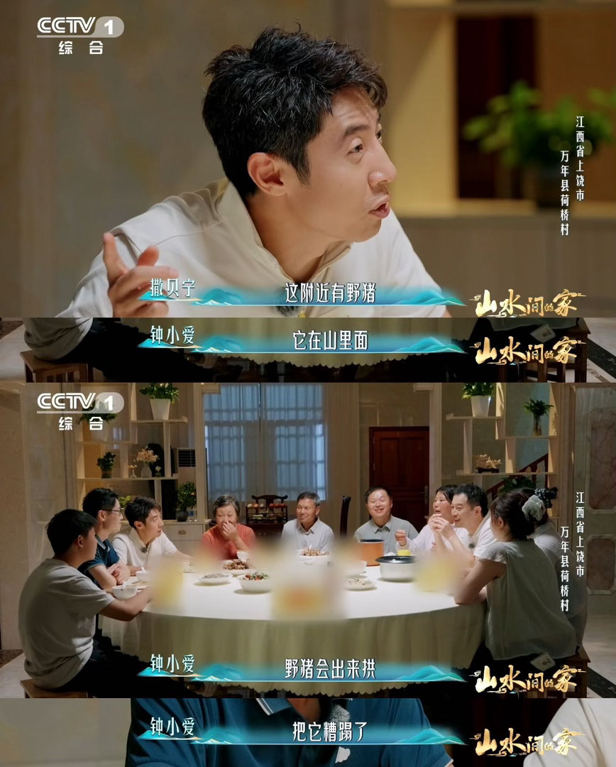 撒贝宁沙溢半夜出门赶野猪山水间的家锣声、喊话声回荡在山间，认真完成护稻任务的同时