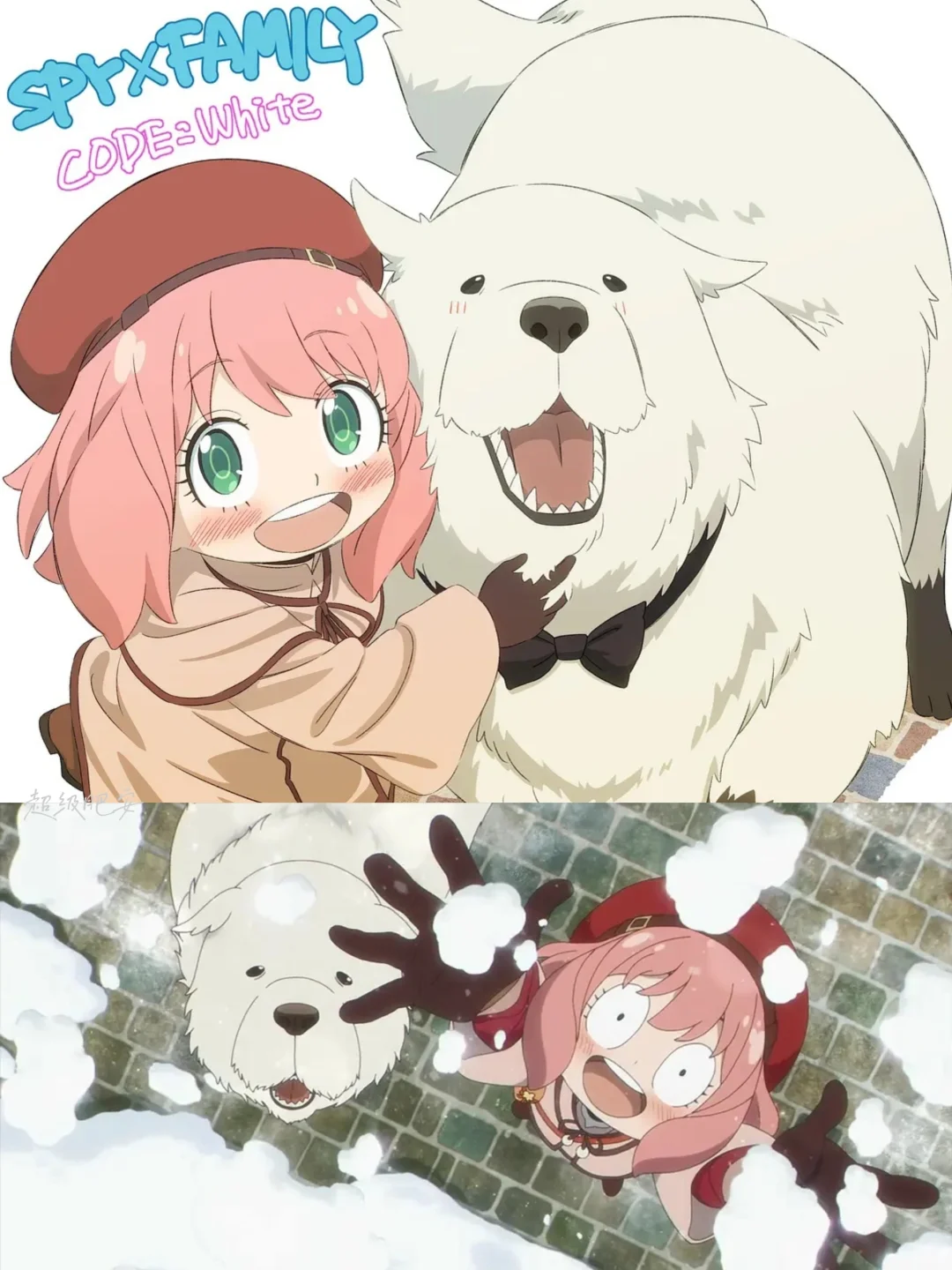 女儿好可爱‼️但我想要邦德这只大狗狗‼️