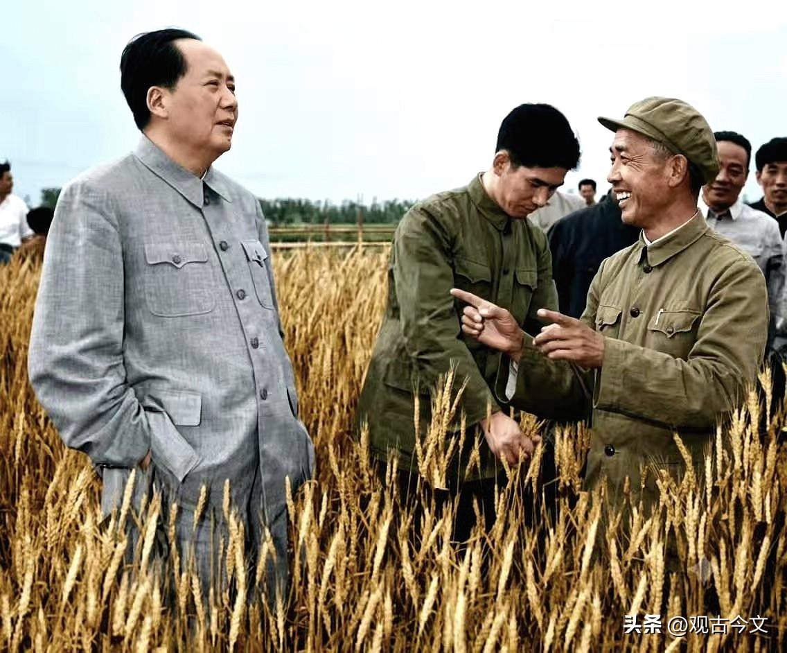 一张极其少见的照片。1960年，在河南郑州的燕庄麦田，毛主席听取基层村干部汇报小