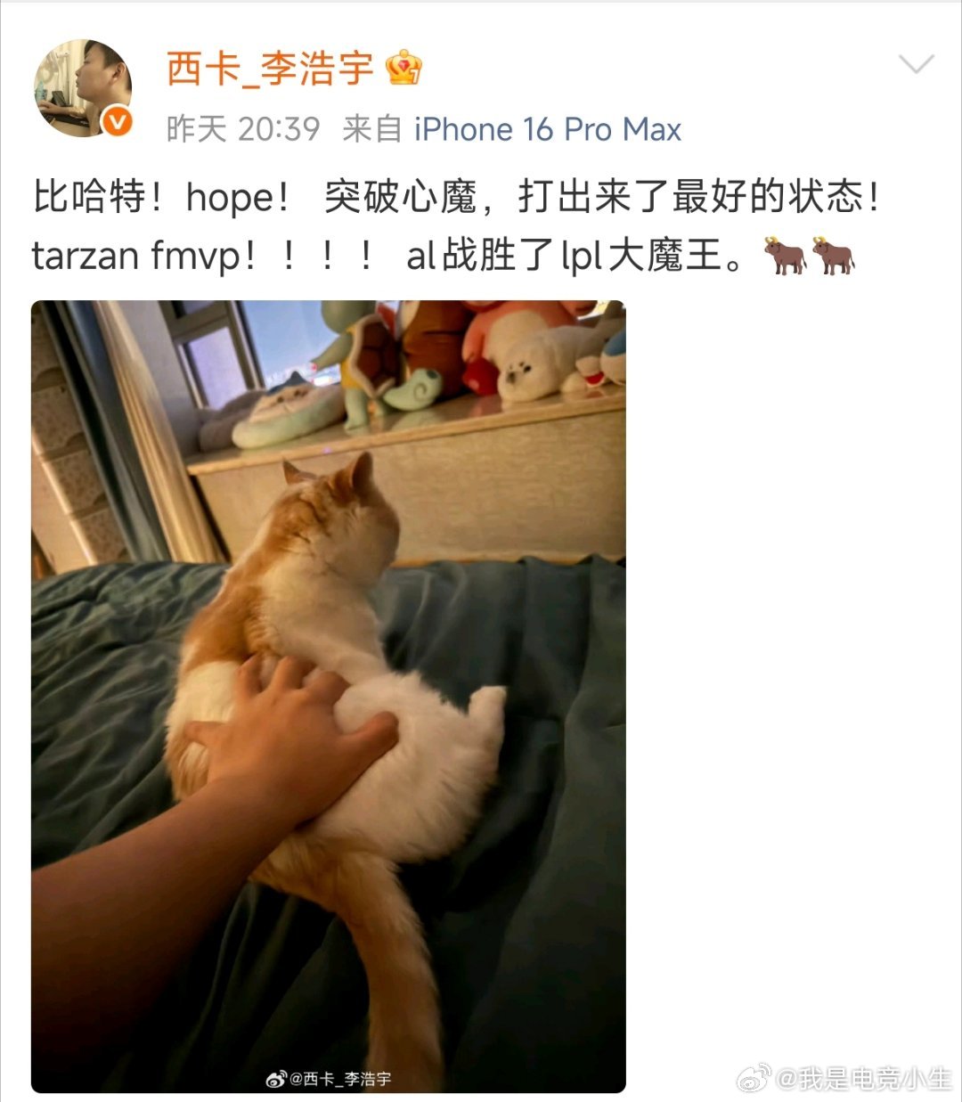 AL夺冠后，西卡发文：比哈特！hope！ 突破心魔，打出来了最好的状态！ tar