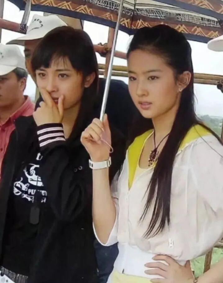 杨幂和刘亦菲的姐妹情，就像娱乐圈里的一股清流——不用刻意秀亲密，但关键时候永远挺