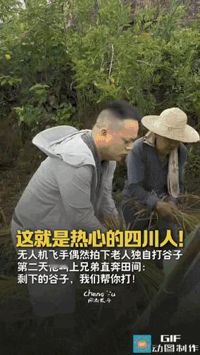 破防了！无人机镜头无意间拍下的一幕，看完心里酸酸的。

四川广安秋收时节，漫山遍