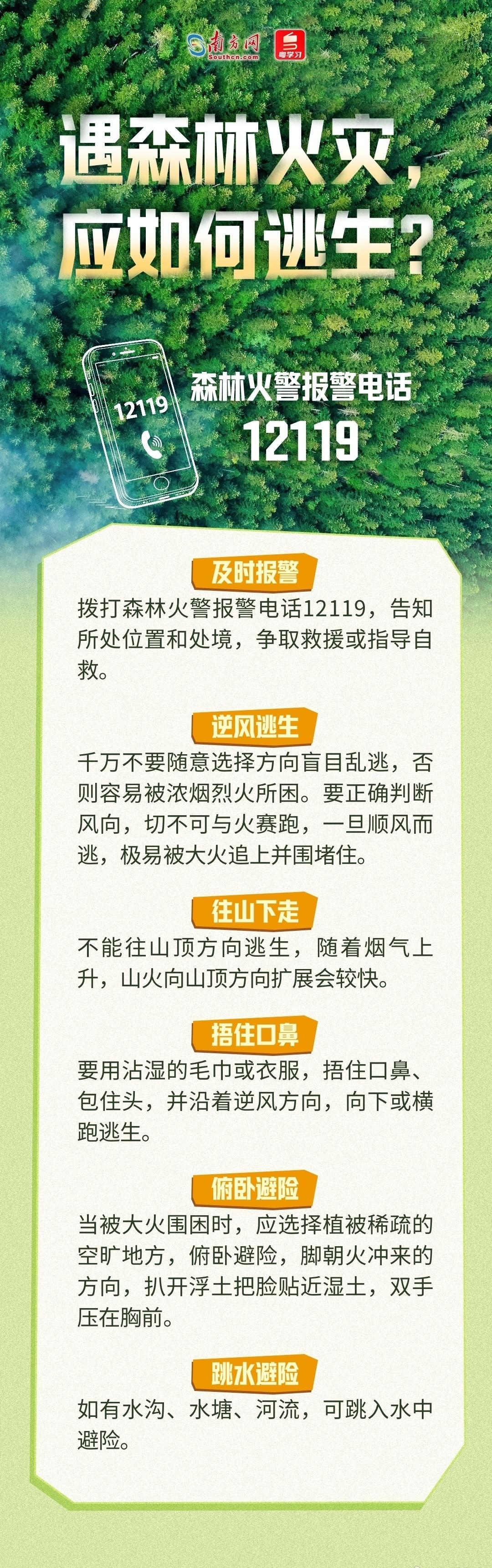 【国际减灾日｜广东已进入森林特别防护期，这些防火知识请查收】当前正值森林火灾的高