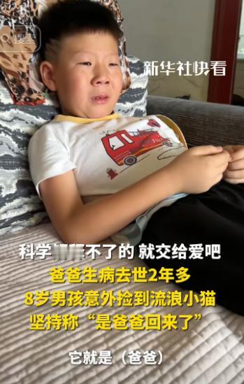 “科学无法解释！”河南，一父亲因病去世后，儿子晚上做梦，竟然梦见爸爸变成了一只猫
