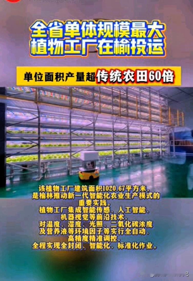 太牛了！全省最大植物工厂落地榆林投产🔥
 
家人们，榆林又搞大事啦！
全省单体