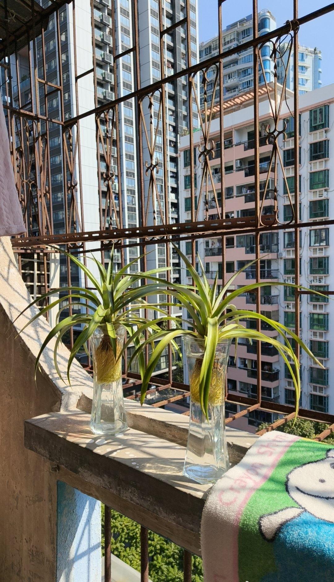 谁懂啊！丢手机慌到冒冷汗的程度，深圳警方直接45分钟速通找回？这效率也太高了！！