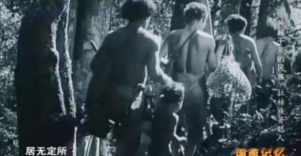 新中国成立后，解放军在哀牢山深山了发现4万几乎全裸的男男女女，调查后才发现，他们