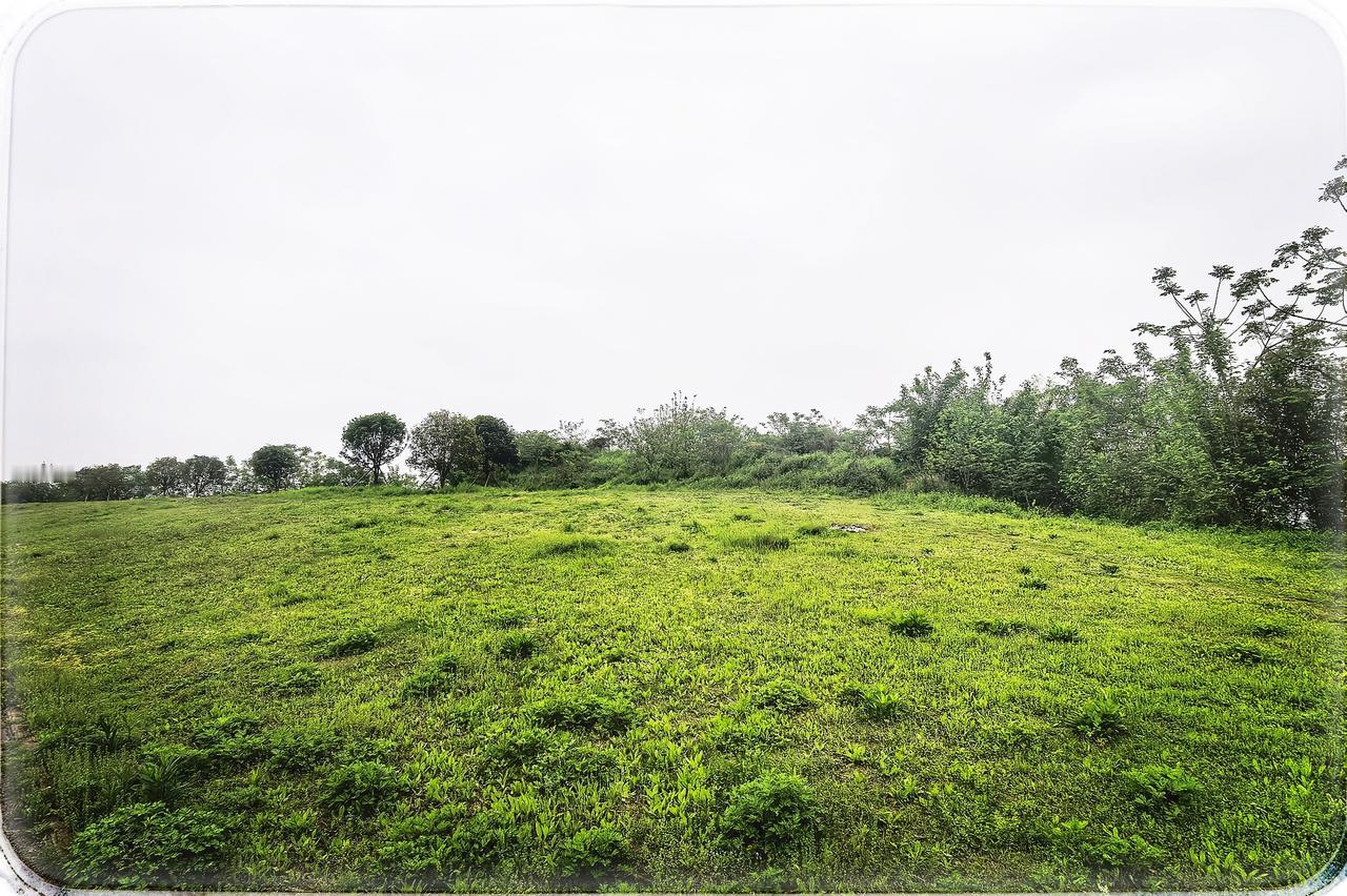 武汉严西湖之美
在武汉的一方天地，严西湖轻展风姿，自然风光旖旎，似梦幻的诗。森林