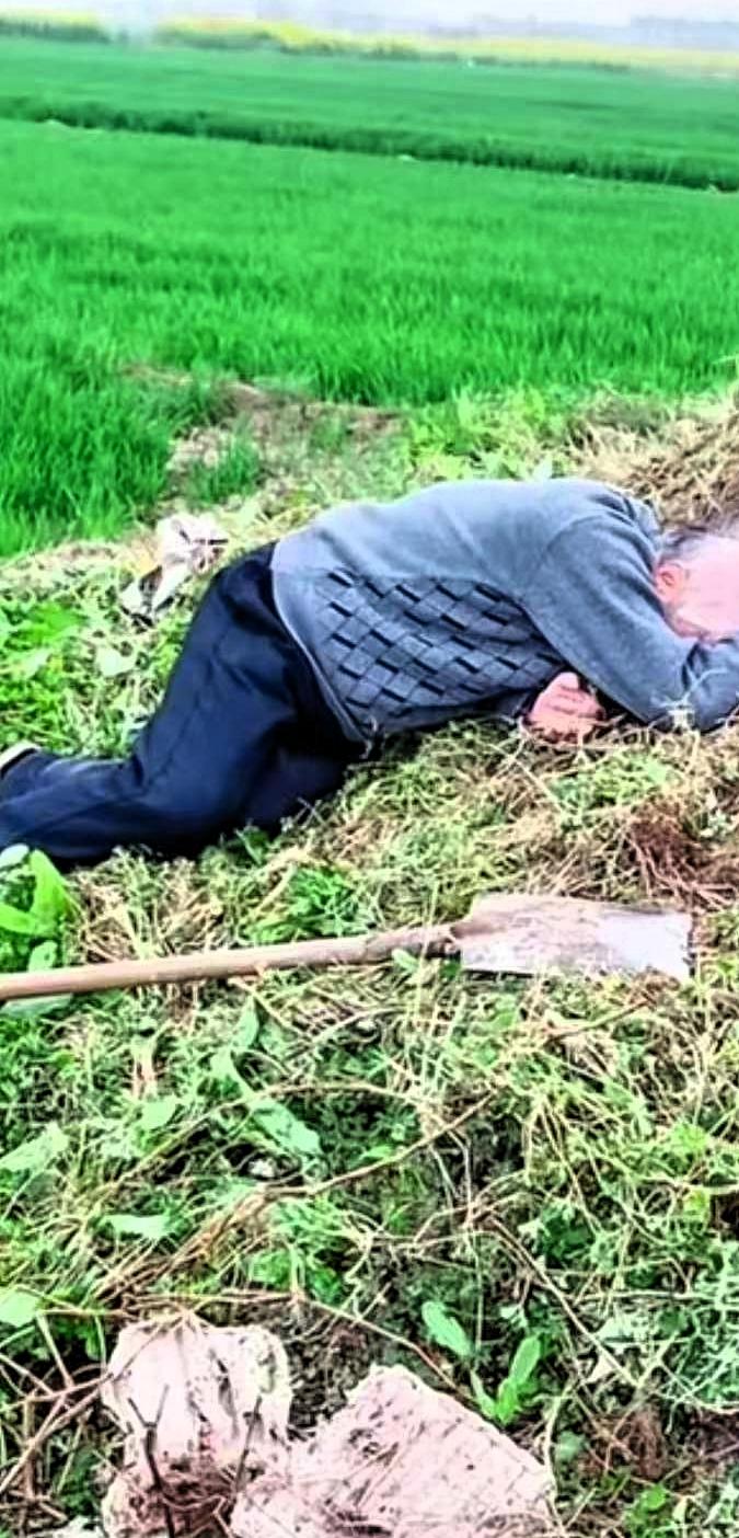泪目！一位年迈的父亲执意要去给父母上坟，祭拜完后，直接趴在坟前失声痛哭
 
 不