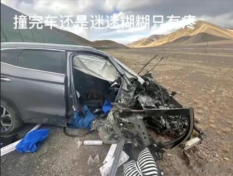 还真有记者查到了献血事件中“小姑姑”的身份，原来真正帮忙的是上海市驻藏办，“小姑
