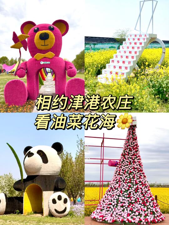 春天的第一场油菜花海🌼限定浪漫