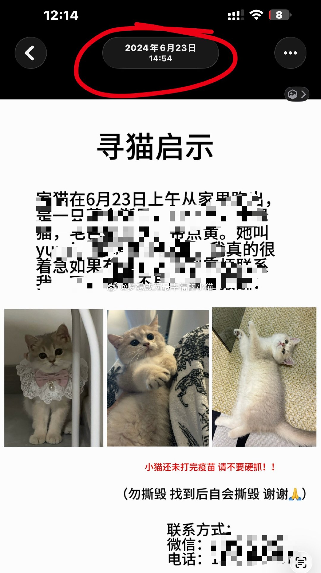 感觉上天在给我开玩笑 我严格意义养的第一只猫就是在前年的今天丢的 老天爷你整死我
