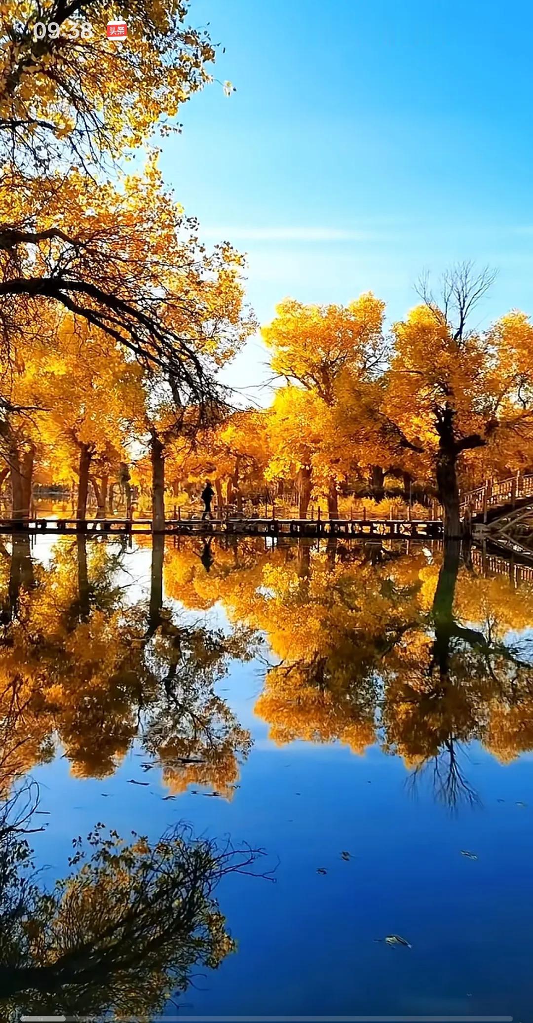 有人说，毛泽东是历史上农民起义最成功的一个领袖。
他老人家哪里是农民呀，人家那时