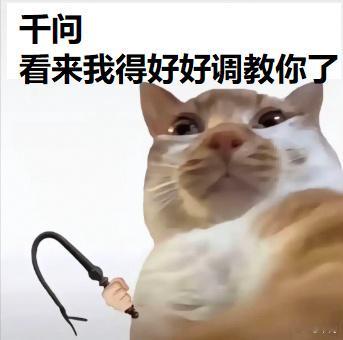 网友开始给千问上强度了有事问千问 