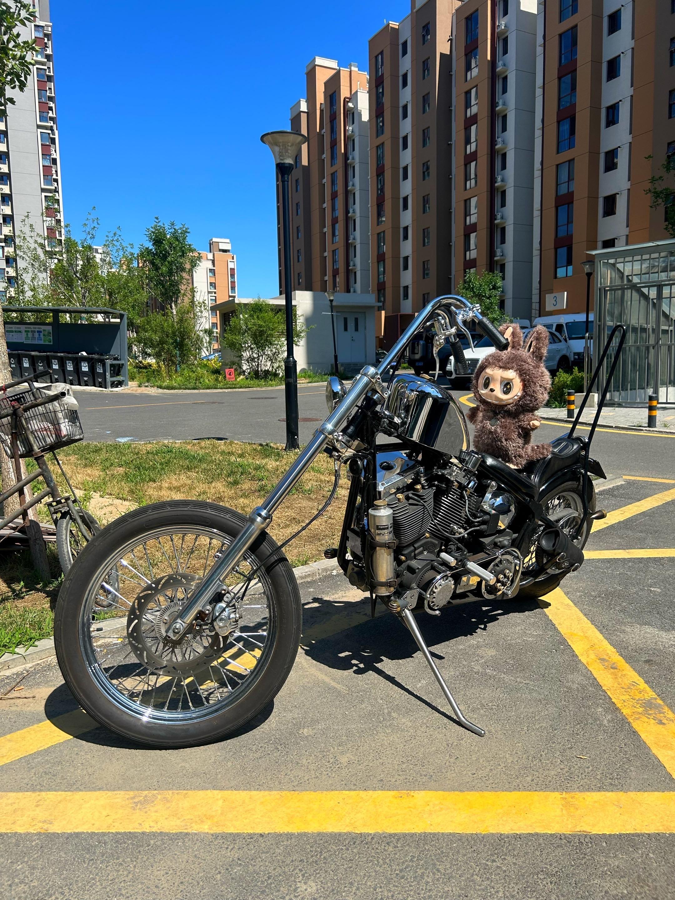 紧跟下次潮流下的自己不老。chopper敲可爱