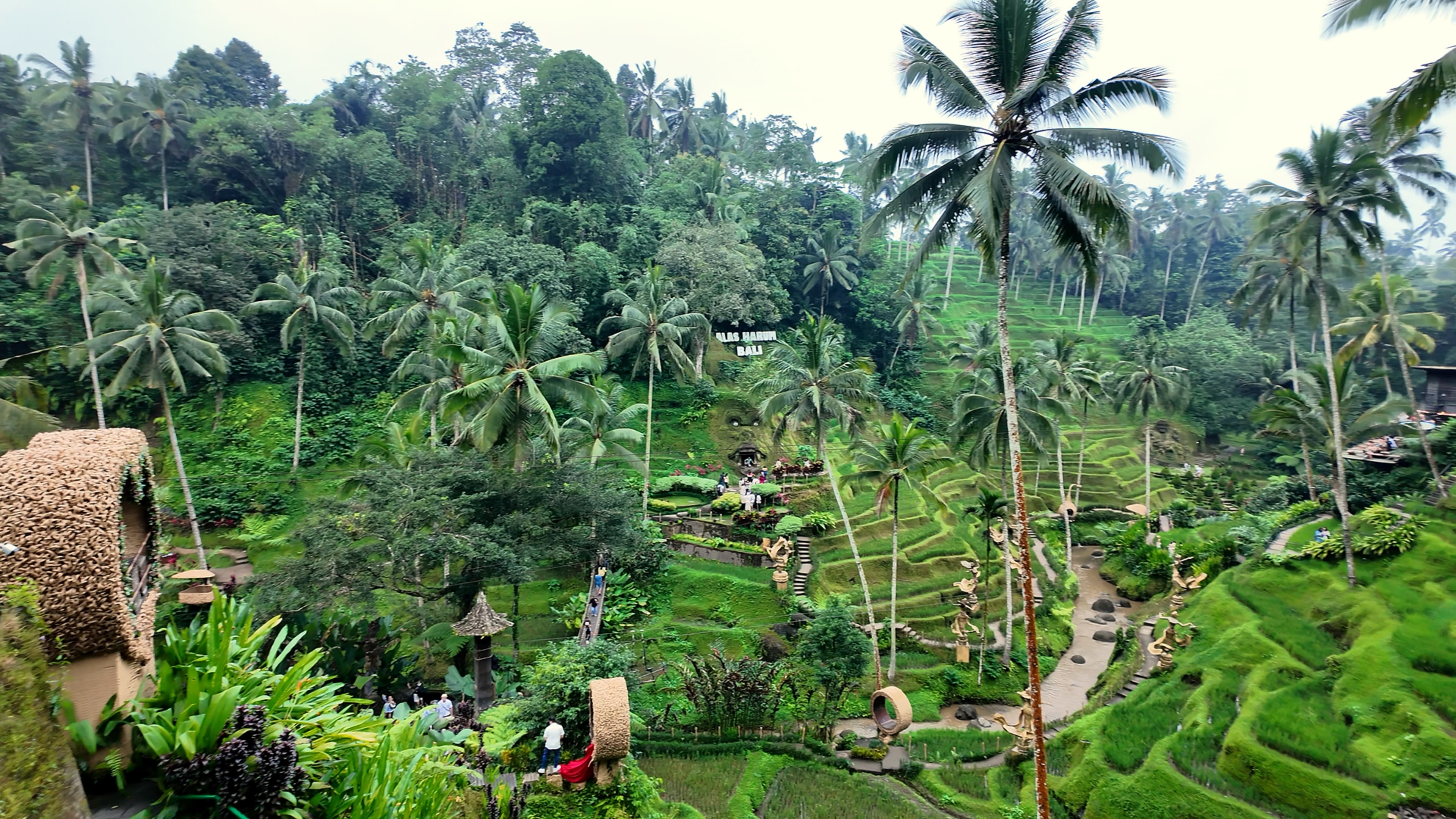 𝑨𝒍𝒂𝒔 𝑯𝒂𝒓𝒖𝒎🌴  ​​​